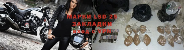 бошки Алексин