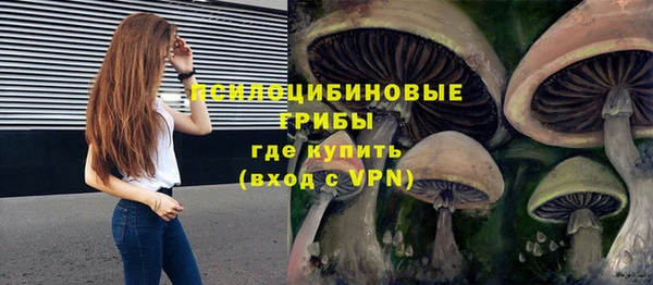 мет Армянск