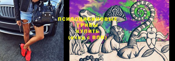 спайс Аркадак
