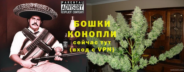 бошки Алексин