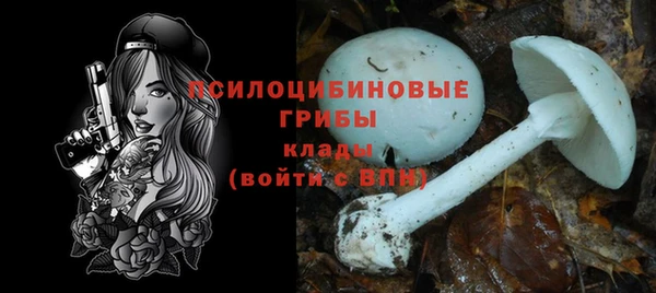 бошки Алексин