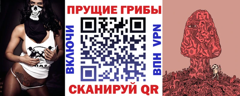 где продают   Пушкино  Псилоцибиновые грибы Cubensis 